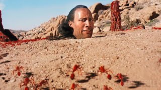 3 scenes we love in The Scorpion King starring Dwayne &quot;THE ROCK&quot; Johnson 🌀 4K