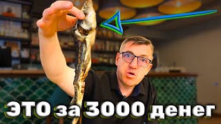 #ресторан Русский чай с русскими березами и некрестьянскими ценами. По = ресторанам нас водит Павел Ш. подписчик. Сегодня посетим ресторан Русский чай. Был у меня еще один гештальт это рыба стерлядь. Но по моему это стрёмная стерлядь и