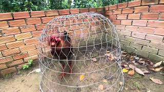 Tốp 3 bé từ 1t2-1t8 @762.8383.34