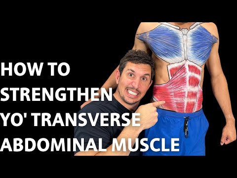How To Strengthen Your Transverse Abdominal Muscle