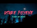 Usure Poyene Slowed And Reverb Villain A R Rahman