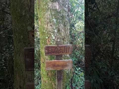 Trilha completa salto são João Prudentópolis -pr