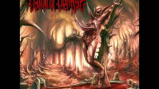 Dawn Of Demise - Rejoice In Vengeance (2012) (FULL)