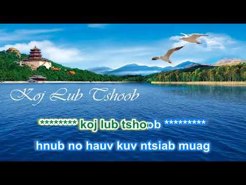 Nkauj tawm tshiab Koj lub tshoob by- Txhim lis & Thoob hab lis