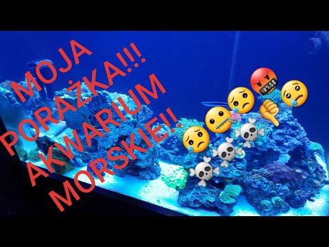 Jak wykończyłem obsadę na własne życzenie 😥😮🤐 Akwarium morskie 300