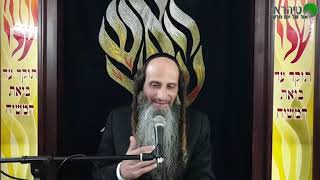 הרב מאור קריו   זריזות מלאה בנחת (הרב מאור קריו) - התמונה מוצגת ישירות מתוך אתר האינטרנט יוטיוב. זכויות היוצרים בתמונה שייכות ליוצרה. קישור קרדיט למקור התוכן נמצא בתוך דף הסרטון