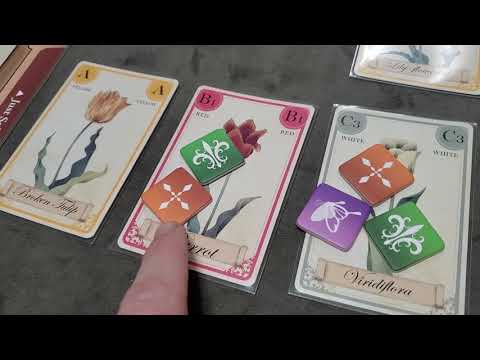 Tulip Bubble: How to Play