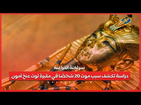 سر لعنة الفراعنة .. دراسة تكشف سبب موت 20 شخصًا في مقبرة توت عنخ آمون