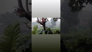 Download lagu Kabut tebal | Puncak | Hujan di pagi hari | menjaring matarahari #ebiet_g_ade mp3 Download lagu Kabut tebal | Puncak | Hujan di pagi hari | menjaring matarahari #ebiet_g_ade mp3