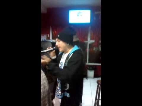 Racek y cristofebril Valdivia 2016