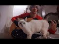 Heartbeat - The Pesos (cover)