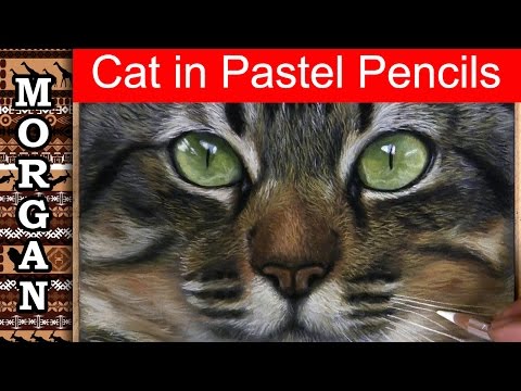 Beginner lesson - Drawing a Realistic Cat using Pastel pencils