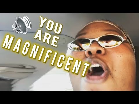 You Are Magnificent - Songify This!