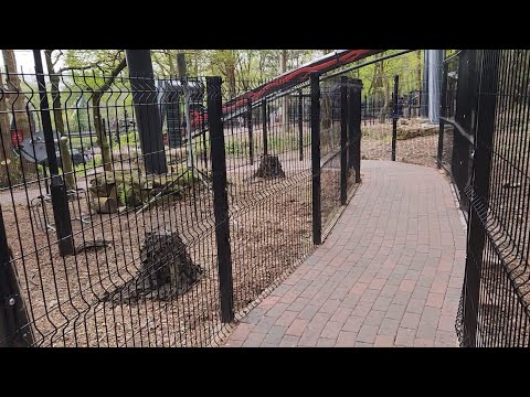 nemesis reborn queue line walkthrough alton towers
