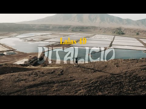 Lalas 49 - VITALICIO