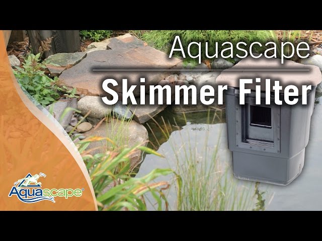 The Aquascape Skimmer