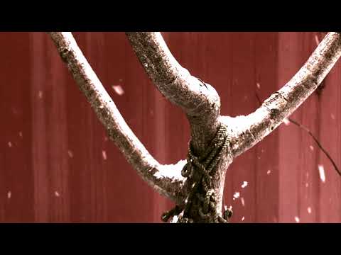 BJURMAN Music Diary - 2018-03-01