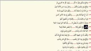 صورة المثنى (20) ـ شرح ابن عقيل على الألفية / علي هاني