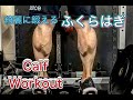 ふくらはぎを綺麗に鍛えよう！第二の心臓[Calf Workout]