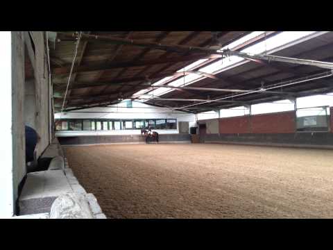 Dressurprüfung Kl L, Meerbusch, 12.05.2013, WN 6,5, 6. Platz