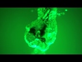Max S Ant Farm