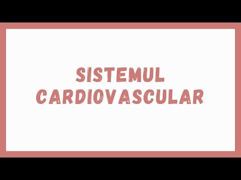Capitolul 15 (partea I) | Barron's - Anatomie și fiziologie || Admitere Medicină