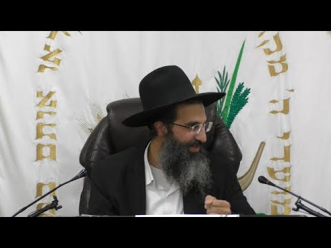 חיים ללא מידת דין | הרב שי עובד | חמישי - פרשת נח - תשפה