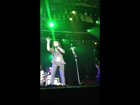 Alice cooper skogsröjet 2012