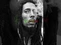 Bob Marley & Peter Tosh: The Battle of Revolution and Fame. #bobmarley #petertosh  #shorts #reggae