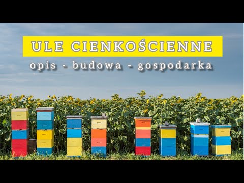 , title : 'Ule cienkościenne / jednościenne opis budowa gospodarka #pasieka #pszczoły #ule #jednościenne'