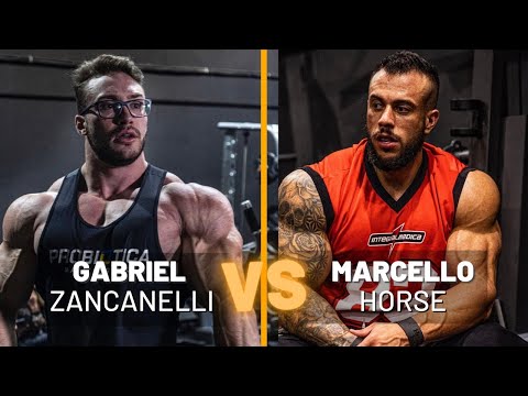 HORSE VS ZANCANELLI - PREVISÃO