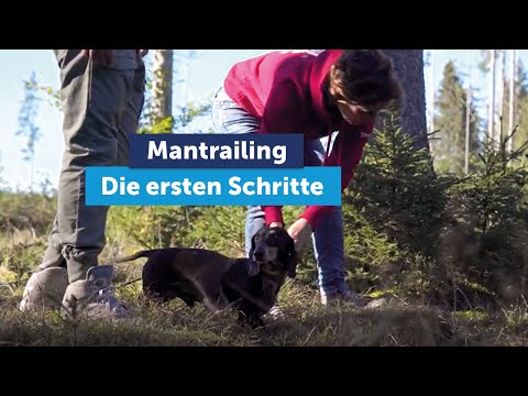 Hund sucht Mensch - Tipps von den K-9 Hundeexperten