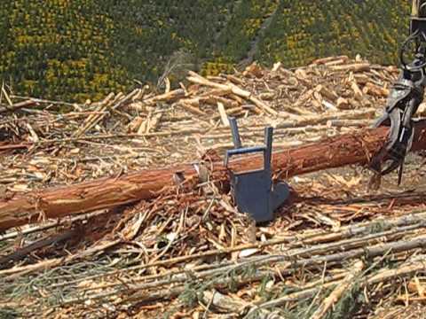 Harvestech S3000 Delimber in action 5