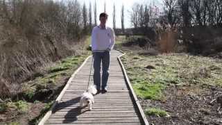 Living In A Rainbow Room