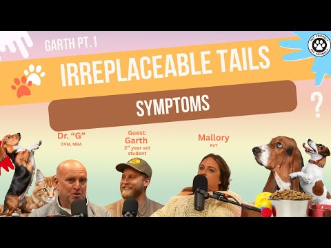 Blocked Cats & Vet Bill Roulette | What’s Worth Worrying About? | Irreplaceable Tails