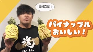 [閒聊] 宋家豪宣傳台灣鳳梨