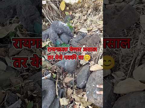 Raigad unseen temple|route guide #raigad