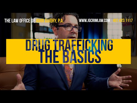 Drug Trafficking Charges in Florida, the Basics