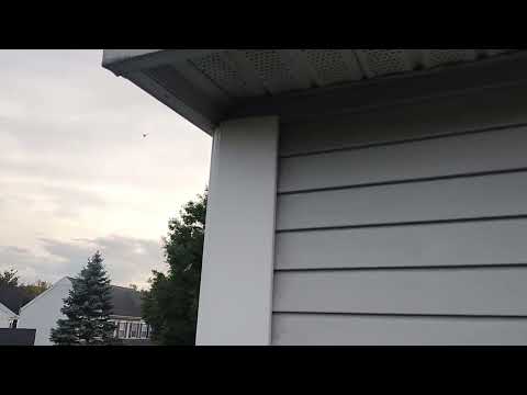 Army of Yellow Jackets Harboring in the Soffit in East Brunswick, NJ