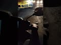Ola S1 Night Drive