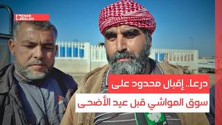 درعا.. إقبال محدود على سوق المواشي قبل عيد الأضحى
