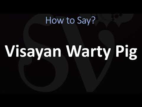 How to Pronounce Visayan Warty Pig? (CORRECTLY)