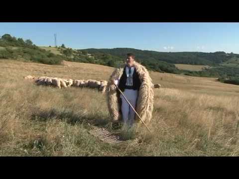 Doinel Hândorean - Mi-o venit asară-n gând