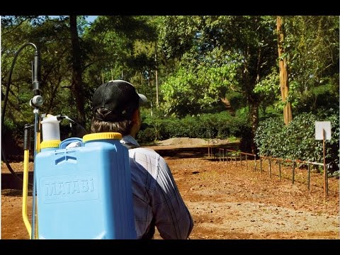 Videos Comerciales para Clientes