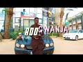 ADO GWANJA INDOSA OFFICIAL VIDEO