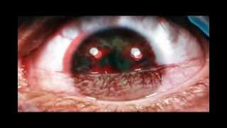 Sectarian - Steven Wilson [Stage Right]