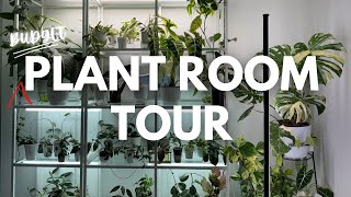 My first Plant/Office Room || Simple & Budget Friendly