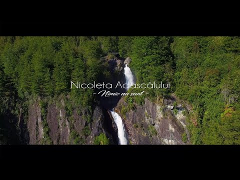 Nimic nu sunt - Nicoleta Adascălului