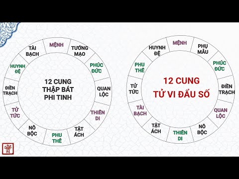 12 cung Tử Vi Đẩu Số có gì khác biệt so với Thập Bát Phi Tinh