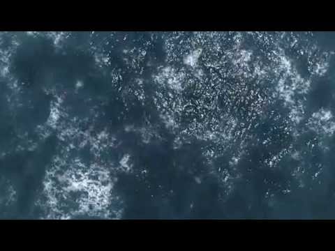 Ocean Texture Loop (Free Footage)